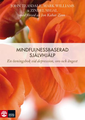 Mindfulnessbaserad självhjälp : en övningsbok vid depression, oro och ångest - Bok av Zindel Segal, Mark G. Williams, m.fl. - Häftad