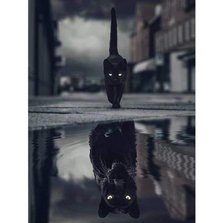 30*40cm Svart Katt Panther Dyr Refleksjon Diamantmaleri Kors