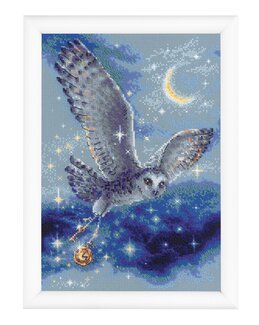 Broderikit Billede Magisk Ugle - Riolis