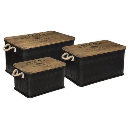 Sæt med 3 Léonie kufferter i sort metal og træ