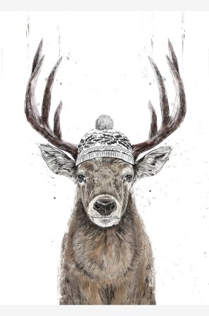 Pelcasa - Plakat Let's Go Outside - Hvid - Posters - Fra Homeroom