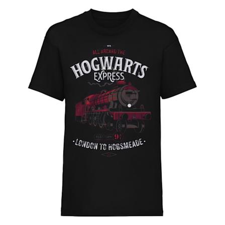 Harry Potter Unisex Vuxen All Aboard T-Shirt M Svart Black M