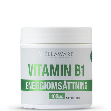 WellAware Vitamin B1 90 Minitabletter
