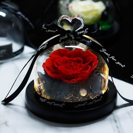 Beauty And The Beast Natural Preserved Flowers Eternal Rose Home Decoration With Lights Wedding Decor Mother's Day Gift010