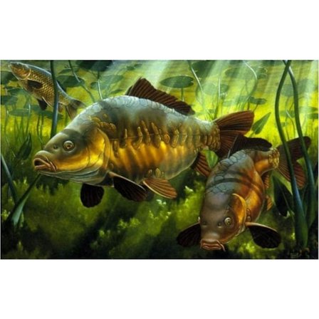 Jigsaw-palapeli 300/500/1000 palaa Carp-julisteet Puu Aikuisille Lelut Dekompressiopeli Gt281Cx (FMY)