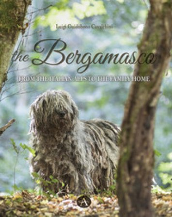 The bergamasco. From the Italian Alps to the family home Luigi Guidobono Cavalchini