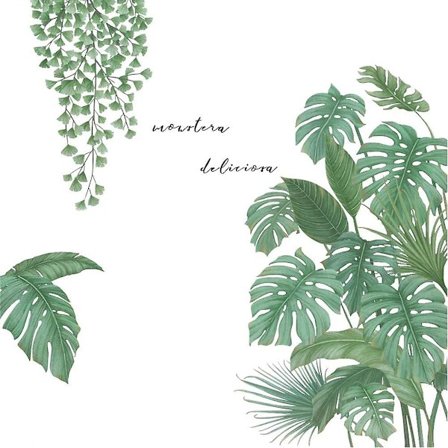Klistremerke veggmaleri tropisk plante 85 x 85 cm, tropisk plante veggdekorasjon palmer blad klistremerker egnet for soverom, gang, kontor