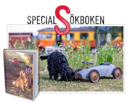 Specialsökboken - Bok av Helena Lindhe & Britt Nylund - Inbunden