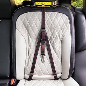 KONG Travel - Ultimative sikkerhedssele til bilen