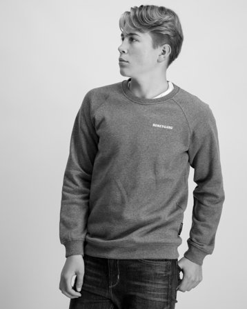 Baron Filou Oval Backprint Pullover Szary Swetry Chłopiec - Kids Brand Store