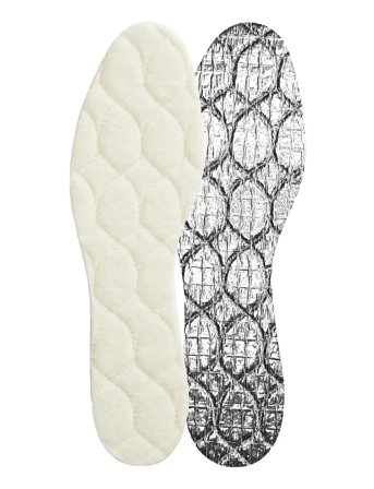 Winter Cream Springyard