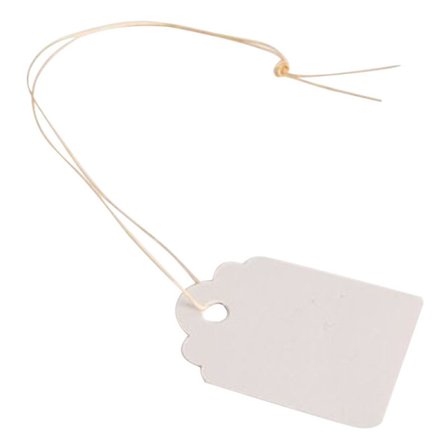 100 stk Vanntette Tape-Linje Hage Etiketter Plante Skilt Hengemerke (Hvit)