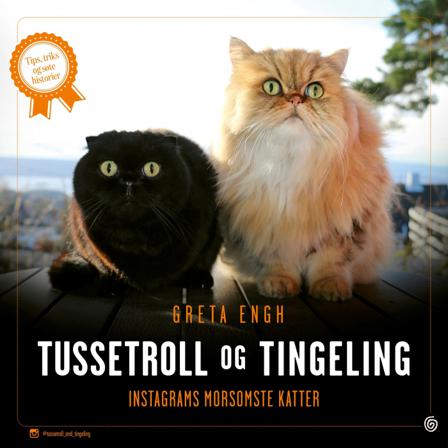 Tussetroll og Tingeling - Bok av Greta Engh - Hardback