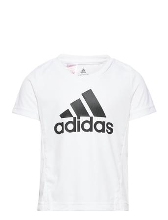 Adidas Designed To Move T-Shirt T-shirts Short-sleeved Valkoinen Adidas Performance