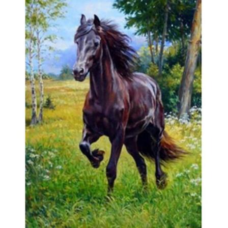 Full 5d Diy Diamond Painting Cross Stitch Brown Horse Broderi Mo Som På Bilden 1 45x60cm