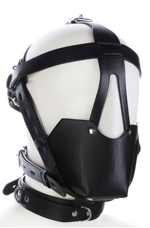 SM Harness Head Muzzle Black Suukapula valjailla