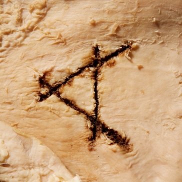 A gut feeling CASSELS