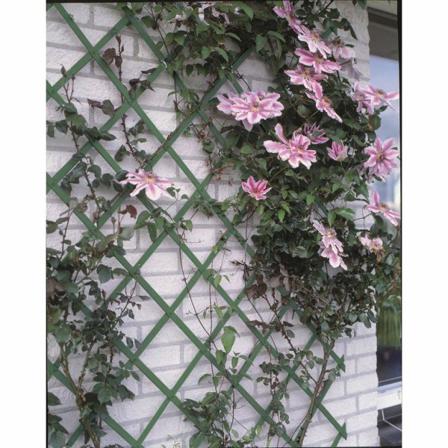 Nature Trädgårdsspaljé 100x200 Cm Pvc Grön 6040704 Grön