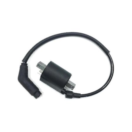 Helt ny tändspole och kabel 22012, kompatibel med Linhai 260 300 400 500 520 550 EFI ATV UTV.