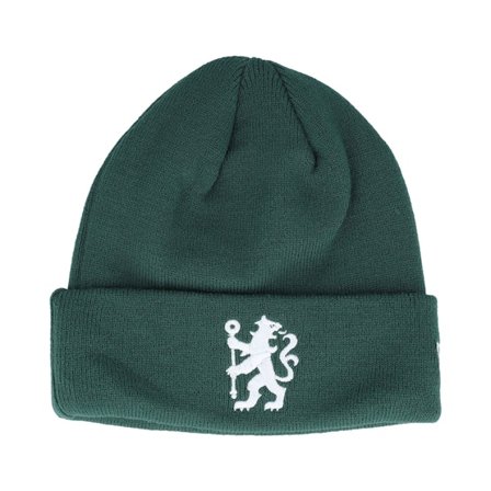 New Era - Verde cuff Beanie - Seasonal Beanie Ch Dark Green Cuff @ Hatstore