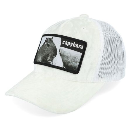Iconic - Vit trucker Keps - Kids Youth Capybara Sofa Velvet White Trucker @ Hatstore