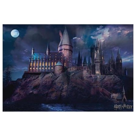 Harry Potter Plakat Hogwarts 299