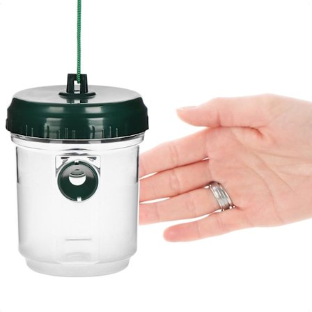 Felle av plast (gjennomsiktig grønn 13 cm), hengende vepsefelle - livstidsfelle for veps, fluer og geithams - effektiv mot veps