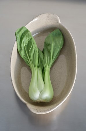 Jotex - Ovnsfat 22x36 Cm beige/svart - SPLASH - Kjøp Brett & serveringsfat hos Jotex