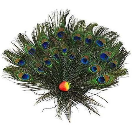 100 stk. Ægte Naturlige Påfuglehale Øjne Fjer Perfekt Til Bryllupsfest Kunsthåndværk Boligdekorationer DIY