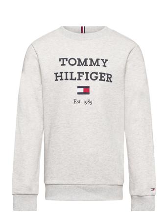 Th Logo Sweatshirt Sweat-shirt Genser Grå Tommy Hilfiger*Betinget Tilbud