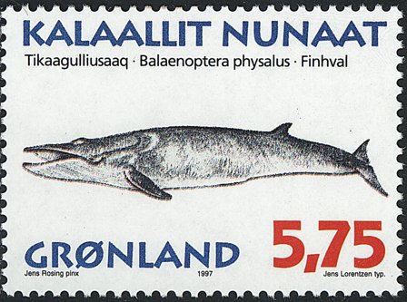 Grønland 1997 - AFA 309 - Postfrisk