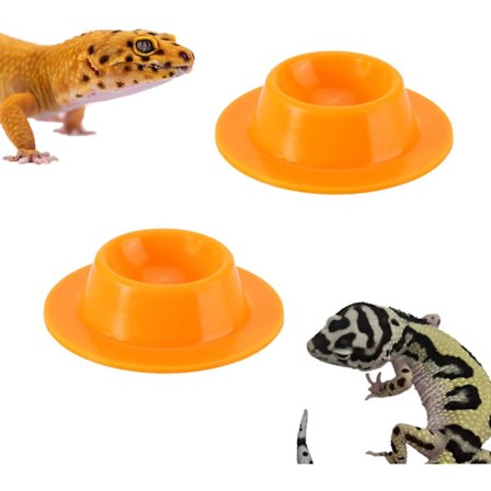 2-pack Leopard Gecko Mat Skål Gecko Kalcium Skål Gecko Mat Skål och Vattenmatningsskål Reptil Vatten Mat Skål Kalcium Skål för Skäggagam Ödla