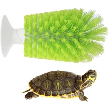 Skilpaddeskallbørste - Skilpaddeskallbørste - Skilpaddeskall Eksfolierende Børste - Med Sugekopp - Skilpaddeskall Rengjøringsbørste