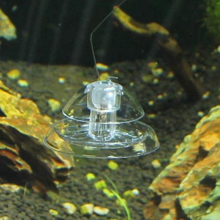 Snigelfälla i Plast, Akvarium, Hållbar och Användbar