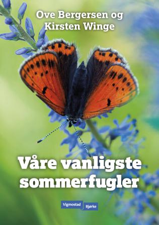 Våre vanligste sommerfugler - Bok av Ove Bergersen & Kirsten Winge - Spiralbundet