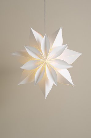 Jotex - POINSETTIA julestjerne Hvit - Kjøp Julestjerner hos Jotex