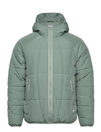 Adv Puff Sport Jackets Quilted Jackets Green Adidas Originals