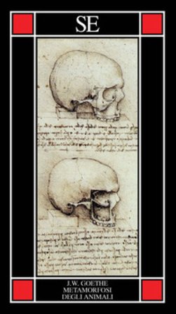 La metamorfosi degli animali Johann Wolfgang Goethe