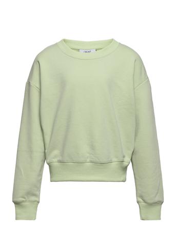 Our L Crew Sweat Sweat-shirt Tröja Grön Grunt