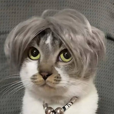 Pet Wigs Cosplay Props Funny Dogs Cats Cross-Dressing Hair Hat Costumes Head Accessories For Halloowen Christmas Pets Supplies