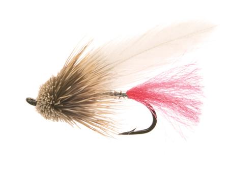 Elritse Black/Red Daiichi 2421 #8