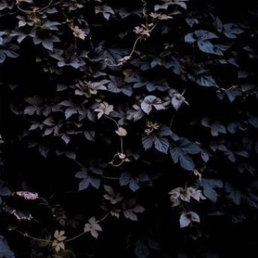 Vivid flu MICHAEL VALLERA