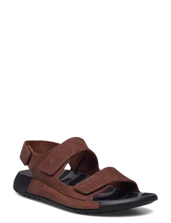 Cozmo K Brown ECCO