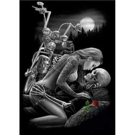 /EA/5D Diamantmålning Motorcykelskelett Skönhet Rubiks kub Rund Diamant 50*70cm Full Diamant,