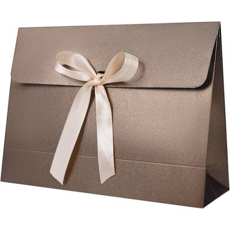 10 Large Envelope Gift Bags, Cardboard Gift Box with Lid and Decorative Satin Ribbon, Textured Christmas Gift Boxes