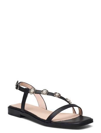 A-1420 Pergamena Black Wonders