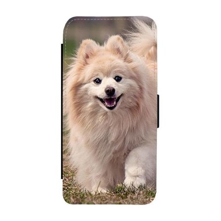 Hund Pomeranian Samsung Galaxy A17 Flip Mobilfodral