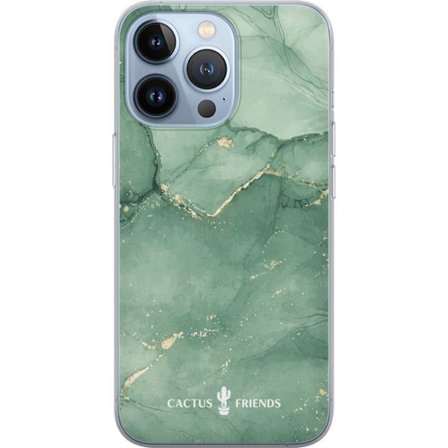 Yhteensopiva Puhelinkuori Apple Apple iPhone 13 Pro Cactus and Friends – JadeVeins