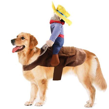 One Piece Cowboy Hund Kostym Ridning Rolig stil Jul Halloween Cosplay Kostym (Brun Riding Outfit) - Byst 50-70cm