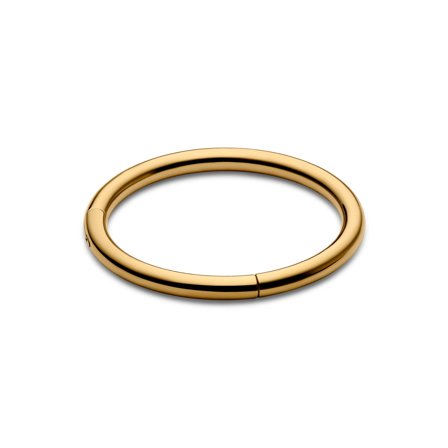 6 mm Gold-Tone Piercing Ring for Men - Ear piercing jewellery